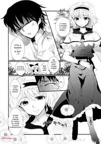 (C85) [Uminari (Narumi)] Inran Alice | Lewd Alice (Touhou Project) [English] {Doujins.com}