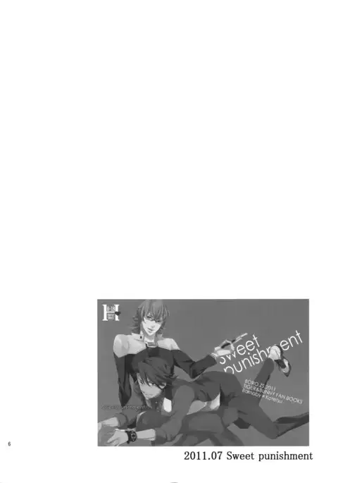 BOROZS Usagi Tora Sairoku