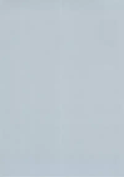 Blue Archive Hon. Full Color