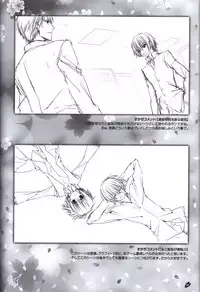 Sakura no Uta -Sakura no Mori no Ue wo Mau- official artbook