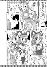 [Mikouken 2nd] D.C.2nd Dai 13 gakushou {D.C.P.K.}