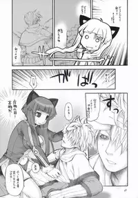 (C67) [Seinansei ni Kagayakeru Hoshi (Morino Papiko)] Ragnarok Yawa Level.5 (Ragnarok Online)