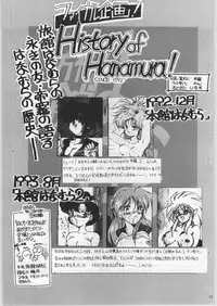 (C52) [Ryokan Hanamura (Various)] FAINAL HANAMURA (Various)