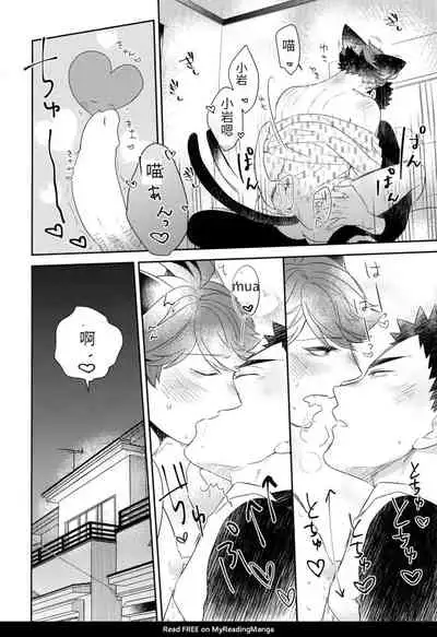 Iwa-chan no Neko ni Naritai 6 | 我想成为小岩的猫6