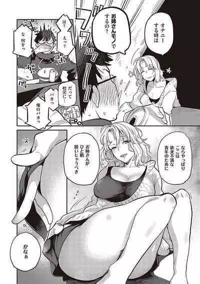 Anata no Yokubou no Iremono desu.