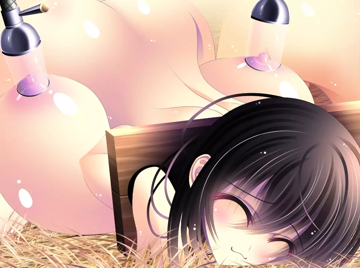 yabure, bakunyu chochichi naedoko ni, benki ni Daraku To sa reru hiroin!~ Hime ￮ setsuna ~