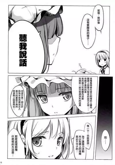 (C81) [Gekidoku Shoujo (ke-ta, Hyuuga, Touma Nadare)] SLEEPING MAGE -Mahou no Mori no Nemurihime- Gekidoku Shoujo Publication Number VII (Touhou Project)[Chinese]