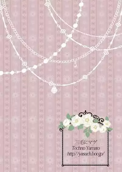 [Mike ni Mage (Yamato Techno)] Yoru no Choukyou Cat Fight [English] [xinsu] [Digital]