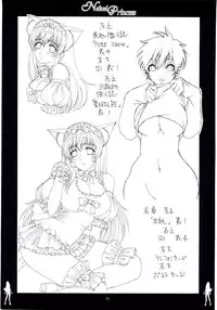 (C67) [NOUZUI MAJUTSU, NO-NO'S (Various)] Naked Princess