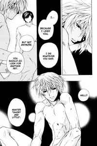 The Rabbit in the House