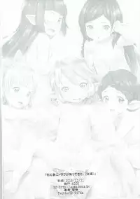 (C91) [ASGO (Zanzi)] Rei no Shima ni Draph ga Futtekita. (Kouhen) (Granblue Fantasy)