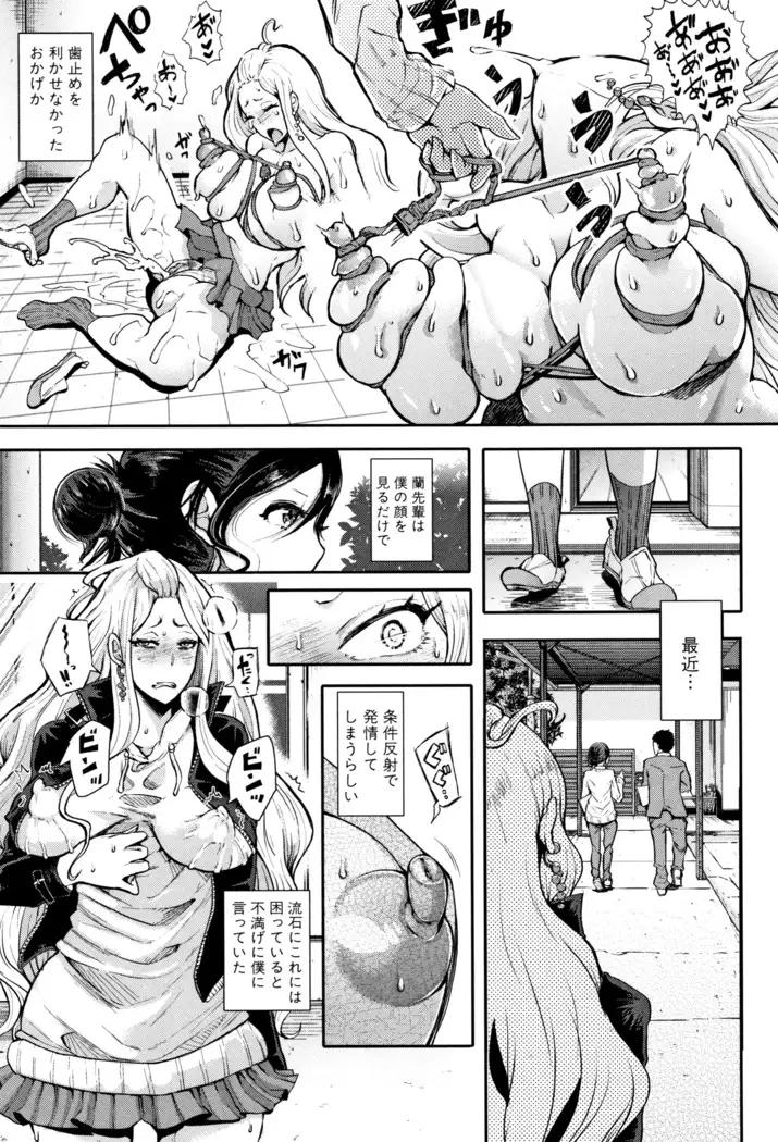 Daisuki Dakara Mechakucha ni Okashite