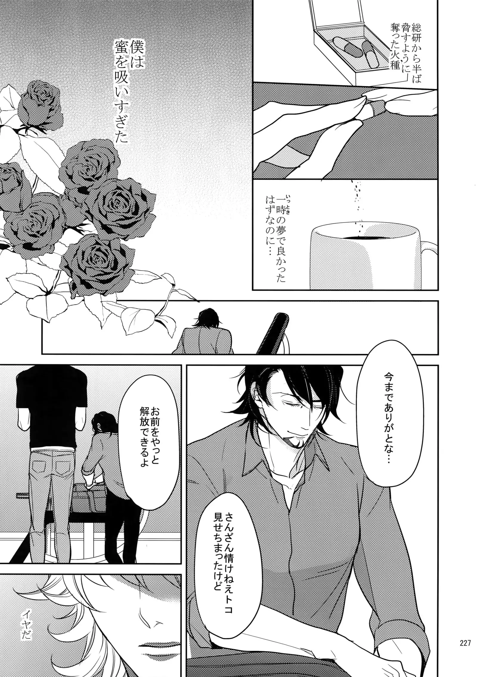 BOROZS Usagi Tora Sairoku