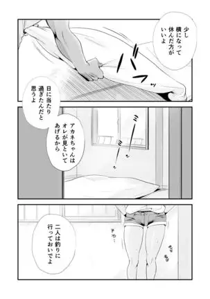 Ore no Yome ga Netorarete Iru! ~Umi no Mieru Machi Kouhen~