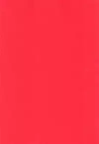 (C94) [Takeritake Daishuukakusai (Echigoya Takeru)] Ore no Douki ga Onna datta Rashii (Hunter x Hunter)