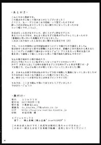 (C84) [YURIRU-RARIKA (Kojima Saya, Lazu)] R Shoku 2C -Toraware Alice- (Touhou Project)