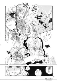 (C74) [Shoujo Zukin (Hatomugi Munmun)] Marecollect (Touhou Project)