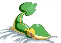 ARTIST さいであ【Cidea