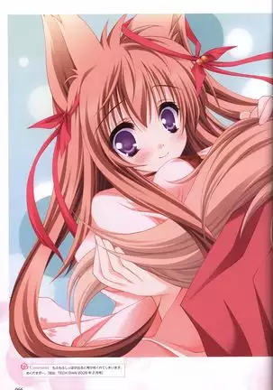 Tayutama -It's happy days- Visual Fanbook