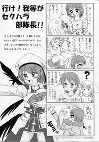 [SHINING (Shaian)] Magical Fate A's Strikers (Mahou Shoujo Lyrical Nanoha)