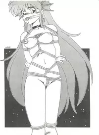 [Mitsuiri House] MI 16 Mitsuiri House 6 (Hime-chan's Ribbon) + [Ariari no Nashinashi] See You Again 10 (Various)