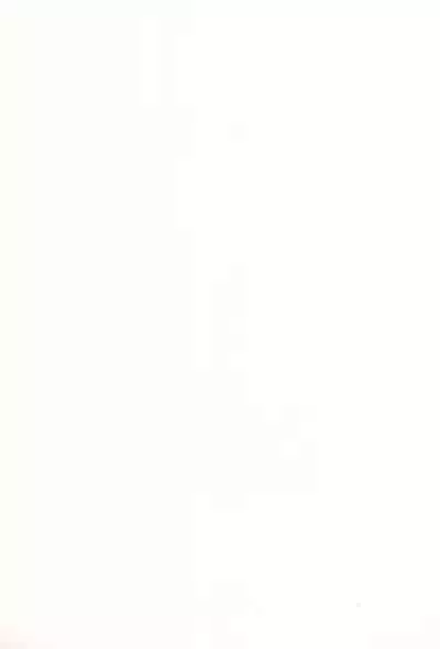 Licca Vignette x Reset Vignette