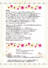 (C95) [Setoran (Itou Seto, Tanno Ran)] Joushiki Kaihen Youkoso Touhou Kissa e! (Touhou Project)