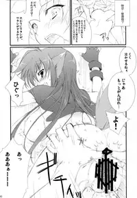 (C74) [THE FLYERS, WIREFRAME (Naruse Mamoru)] NAKED DESIRE (Mahou Shoujo Lyrical Nanoha)